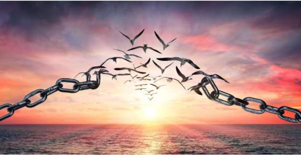 Cadenas rotas que se transforman en aves volando hacia un cielo al atardecer